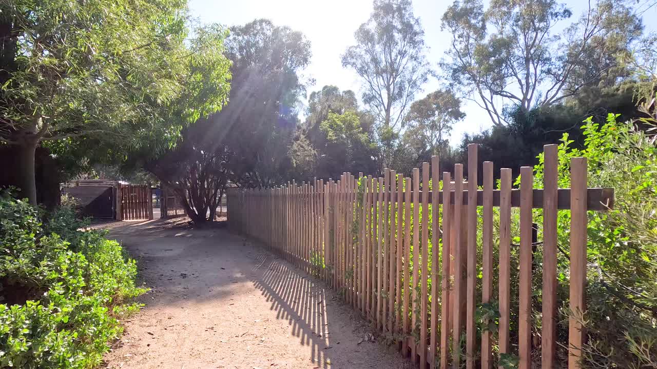 울창 한 초록색 을 가로질러 조용 한 산책