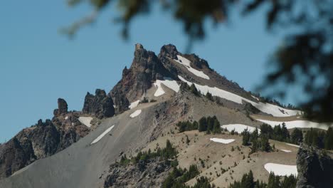 snowy summer mountain with tree branch in the foreground