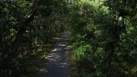 a drone view over a paved path in a park on a sunny day