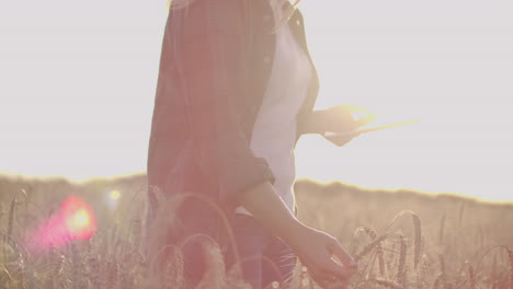 Close-up-of-a-woman-farmer-in-a-hat-and-a-plaid-shirt-touches-the-sprouts-and-seeds-of-rye-examines-and-enters-data-into-the-tablet-computer-is-in-the-field-at-sunset