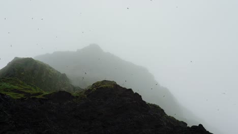 Atlantic-Puffins-Flying-Through-The-Fog-Over-The-Lush-Rocky-Mountain-Of-Reynisfjall-In-The-South-Coast-Of-Iceland---low-angle-panning-shot