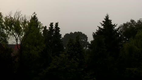 strong storm and rain thunder, the trees are blowing in the wind