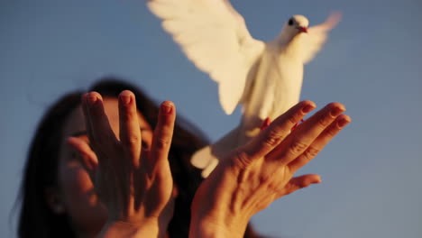 woman holding a white dove in flight at sunset