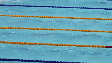 swimmers racing in a pool during a competition