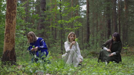 girls collect useful plants and berries in forest