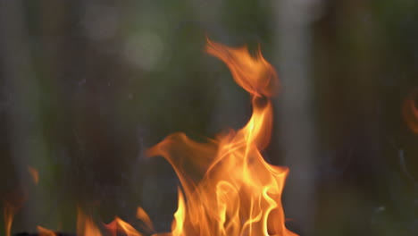 closeup of fire flames burning background in slow motion