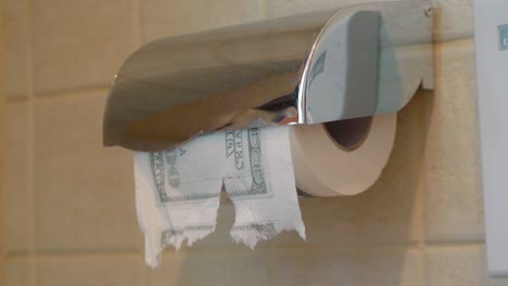 using dollar toilet paper in 4k slow motion 60fps