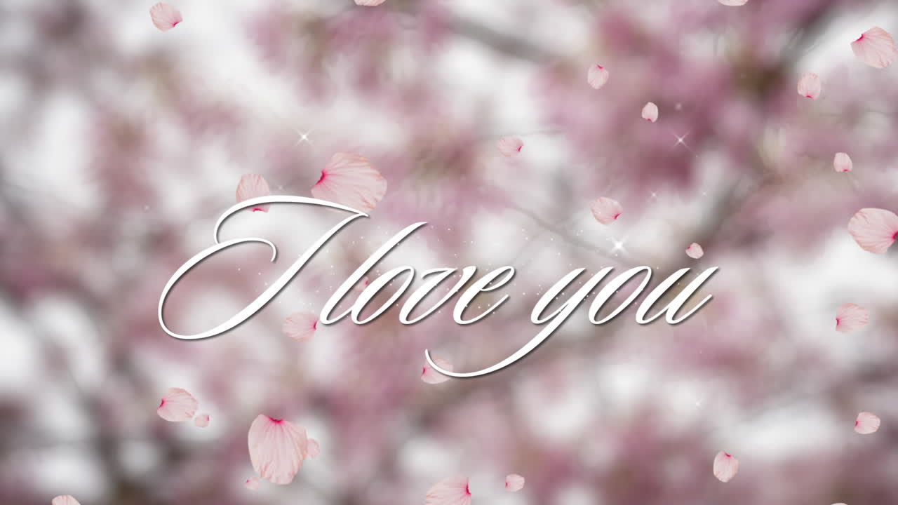 발렌타인 데이 축제