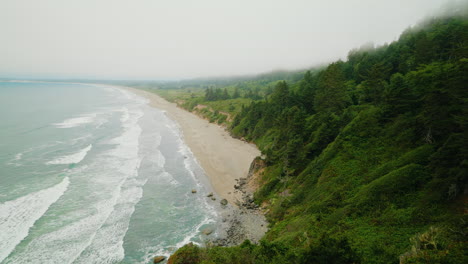 coastal beach and forested cliff on a foggy day