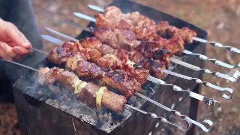 Hombre-Cocinando-Shish-Kebab-Marinado