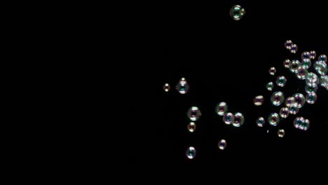 soup bubbles isolated on black background