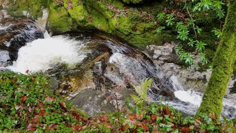 view from above of a waterfall stream in the black forest in germany, europe