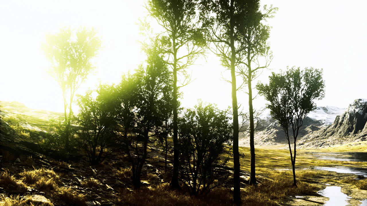 Beautiful sunlit landscape featuring lush greenery and distant mountains