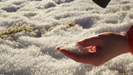 Mano-De-Mujer-Mostrando-Copos-De-Nieve-Brillando-Al-Sol-Con-Un-Paisaje-De-Invierno-Congelado-A-Cámara-Lenta-4k