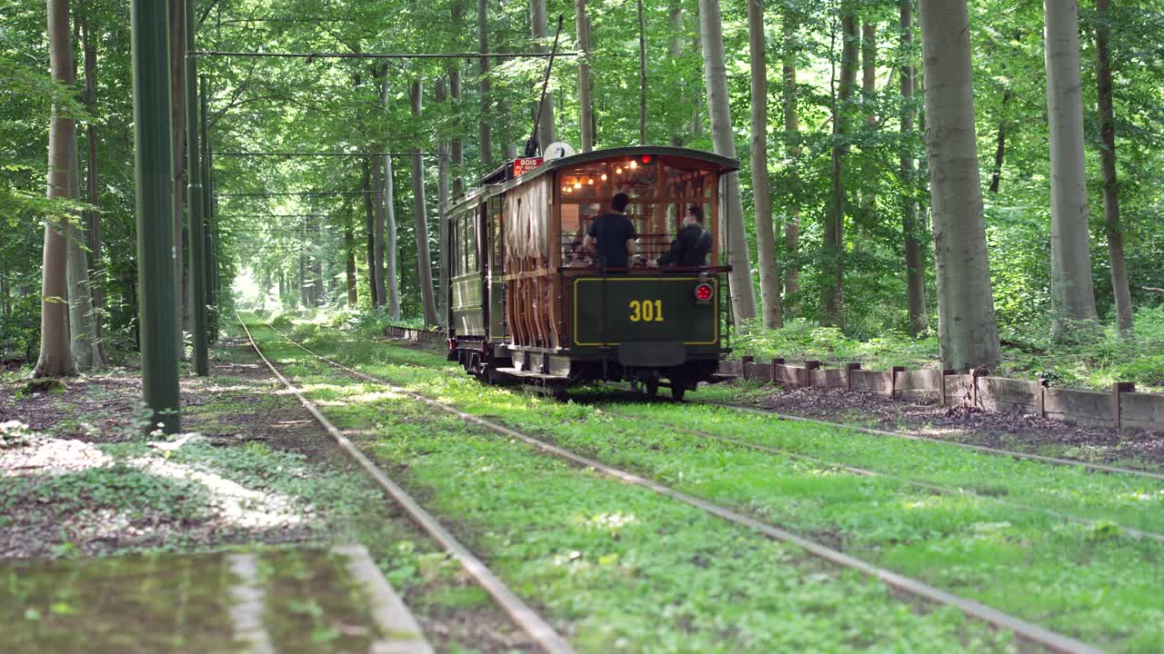 antiguo tranvía antiguo que pasa por un hermoso paisaje de bosque verde