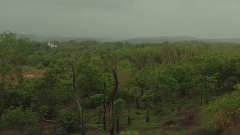 paisaje de bosque verde exuberante con colinas en el fondo en un día nublado