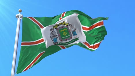 goiania flag, goias, brazil. loop