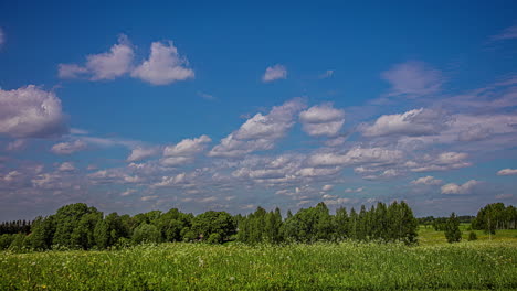 Blue-sky-green-grass-meadow-time-lapse-with-forest-in-the-background