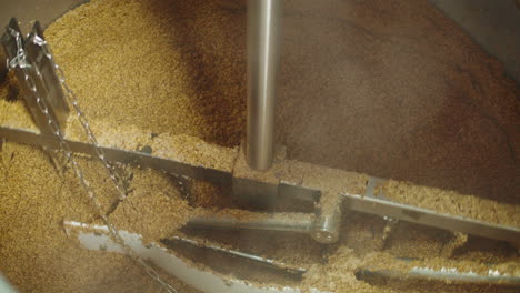 craft beer production factory, brewery manufacture. putting barley malt grains in conveyor close-up. brewing, cooking alcohol in metal vats bottles