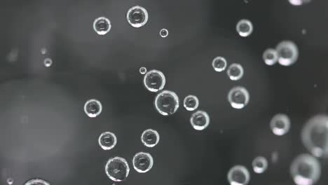 macro shot of soda bubbles swirling inside a glass