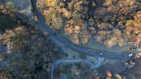 cars on forest road downward view on frosty autumn morning