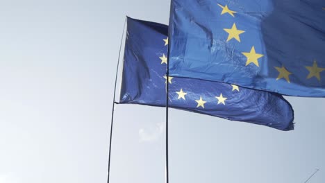 eu flags at a protest