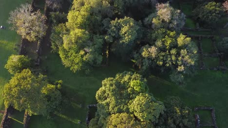 overhead aerial footage of old ruins amongst the trees of a forest