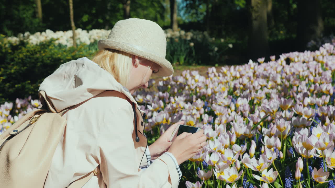 관광객은 튤립의 사진을 찍는다