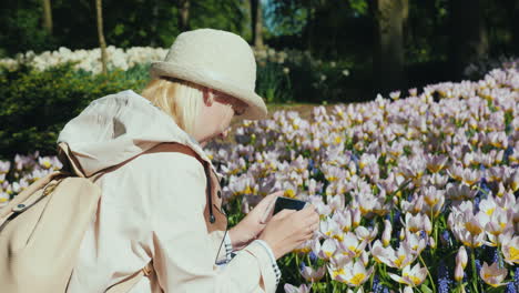 tourist takes photos of tulips