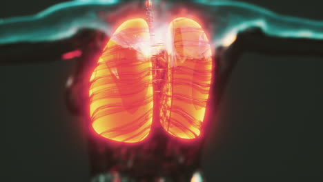 Coronavirus-covid-19-infection-in-the-lungs