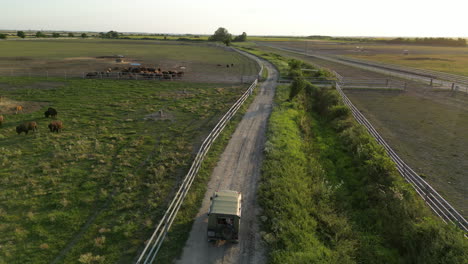 bison farm in europe seen from the air