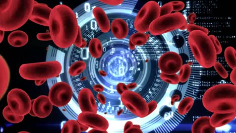 Red-blood-cells-and-futuristic-circle-with-binary-codes