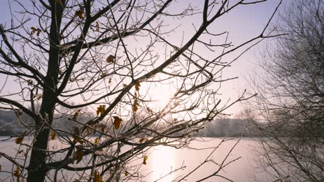 Amanecer-Sobre-El-Lago-Congelado-En-Thetford,-Inglaterra