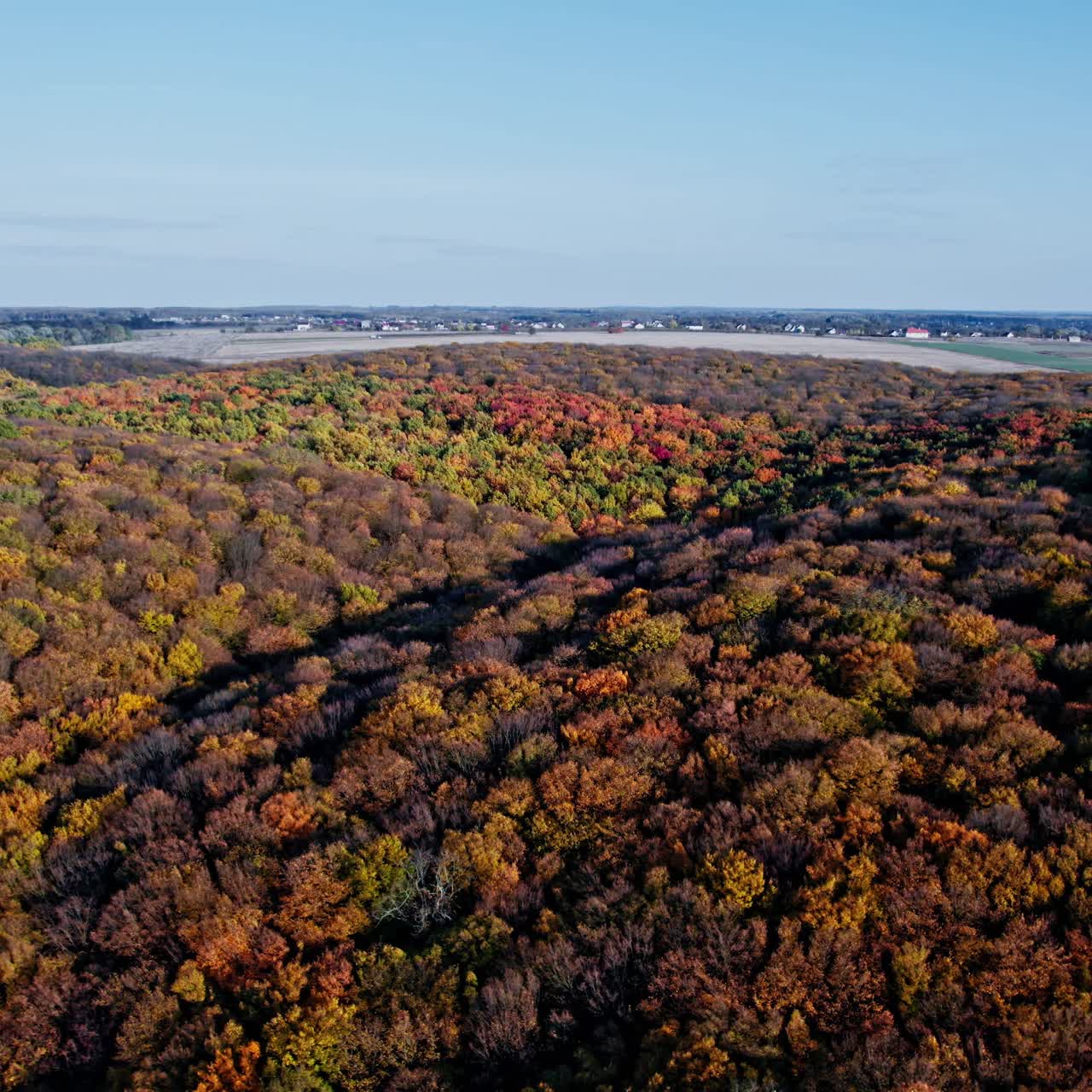Ripresa aerea di una foresta nella stagione autunnale