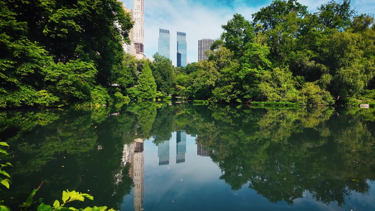 Bela vista sobre o Lago do Central Park com reflexos calmos, árvores verdes exuberantes e arranha-céus modernos de Manhattan, criando uma cena de natureza urbana tranquila na cidade de Nova York.