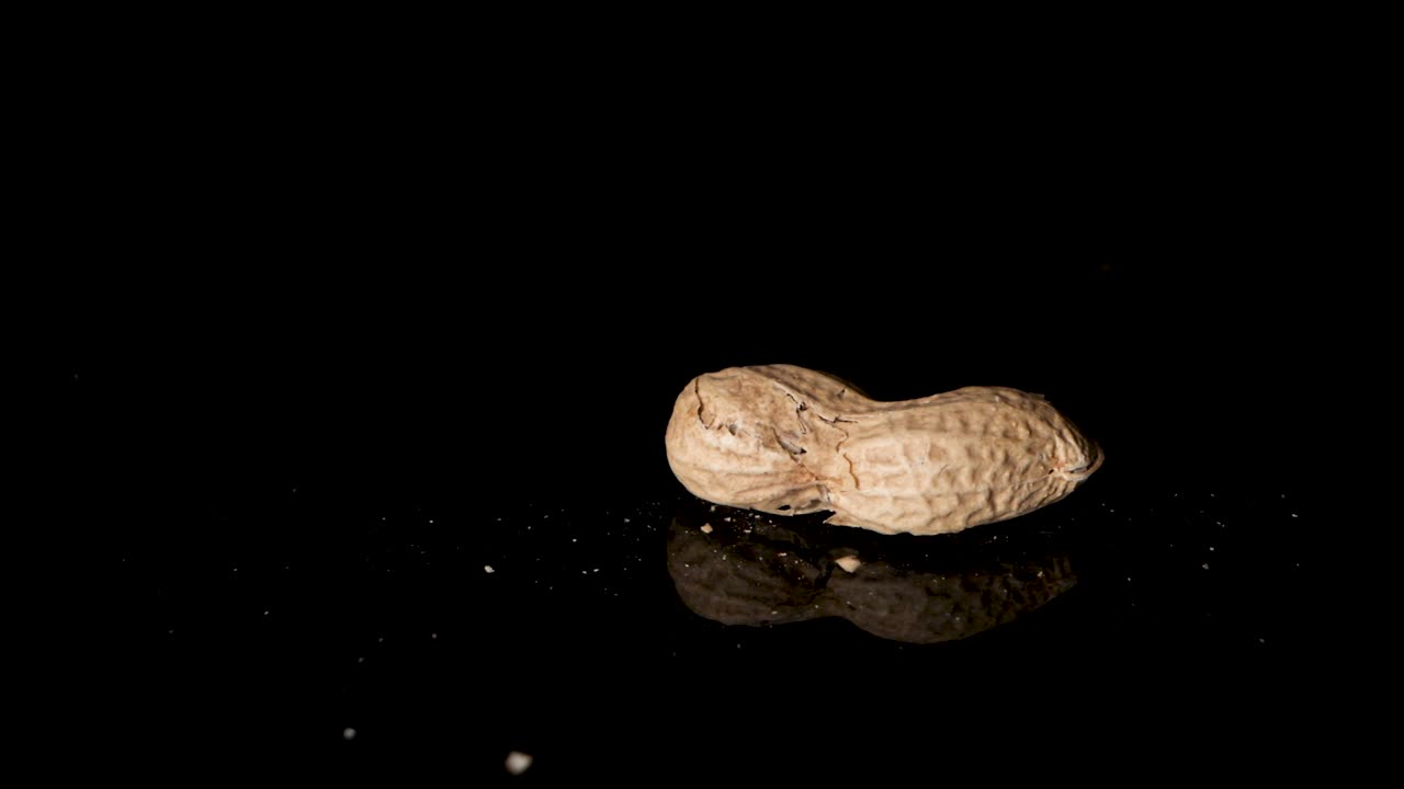 Single peanut is smashed with a fist on a reflective black surface - Slow Motion