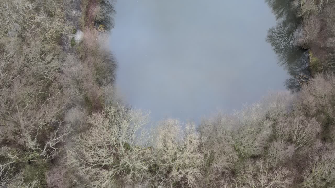 Overhead aerial woodland forest and lake in winter 4k.
