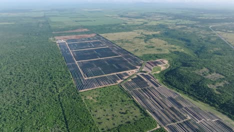 parque solar remoto en un vasto campo agrícola verde en el caribe, aéreo