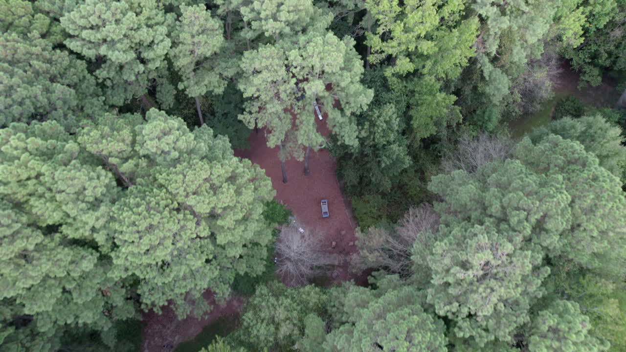 drone sobre un pequeño parque, rodeado de un denso bosque de pinos y robles