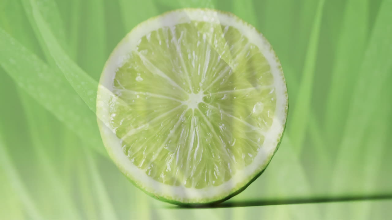 composición de cal y hierba a la mitad sobre un fondo verde