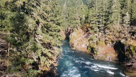 my drone malfunctioned and flew down to the water level while showing forest, cliffs and river rapids