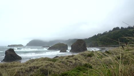 oregon coast scenery on a cloudy day