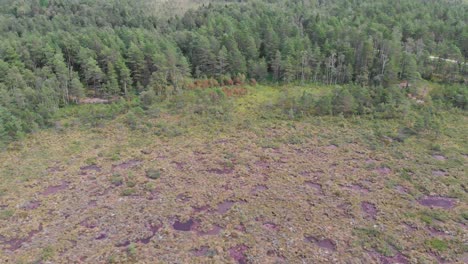 La-Toma-Aérea-Revela-El-Humedal-De-Lodo-No-Contaminado,-La-Textura-De-Vegetación-Verde-De-Un-Gran-Pantano,-El-Concepto-Ambiental