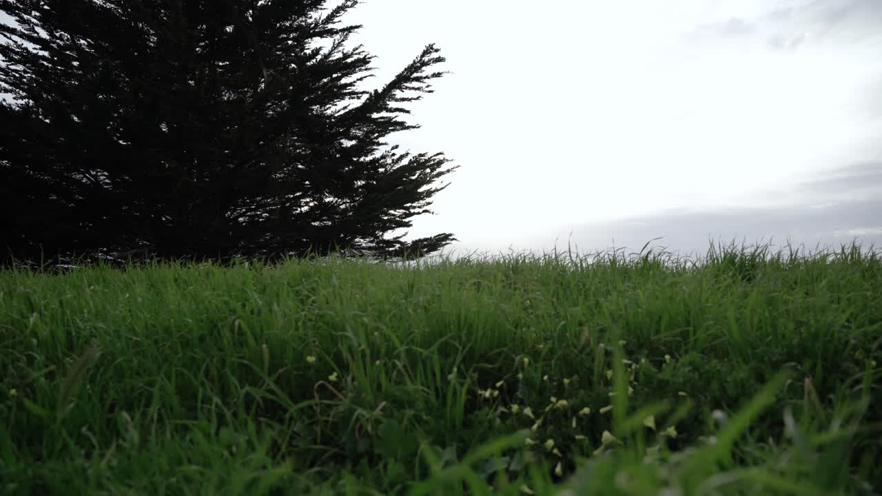 농장에서 바람이 많이 불고 흐린 날