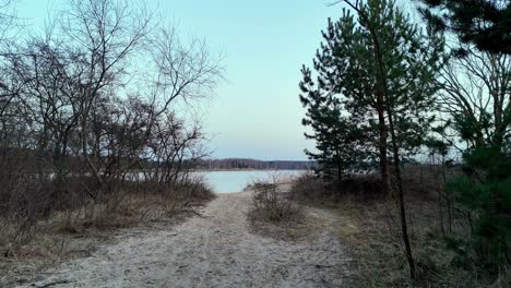 a sandy path leads to a lake with trees in the background