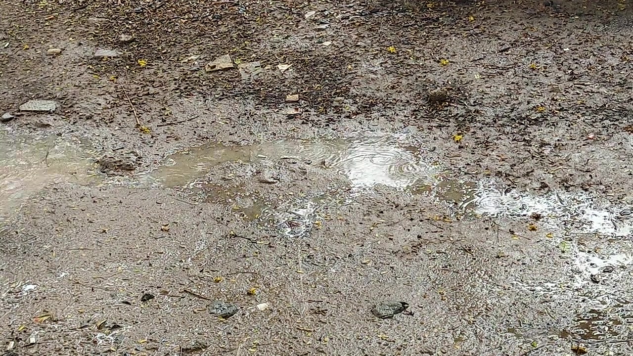 Regenpfützen bilden sich auf rauem Betonboden, während Regentropfen Wellen und Reflexionen erzeugen, nützlich für Konzepte zu Regenwetter, Monsun, Wasser, Umwelt und natürlichem Hintergrund