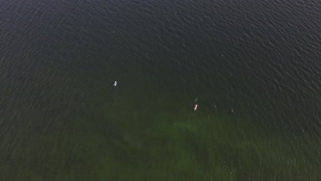 two kayaks in the sea