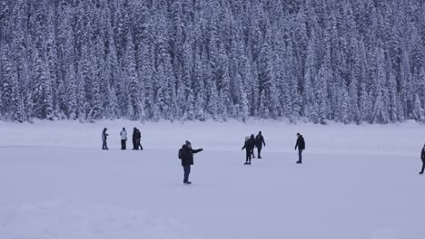 lake louise, winter activities, ice skating, 4k