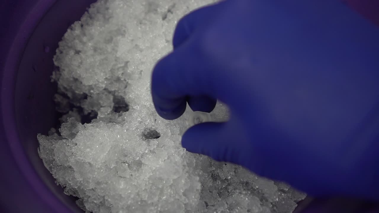 Scientist places samples into ice late at night