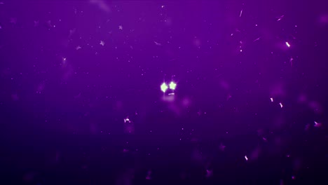 star snow awards